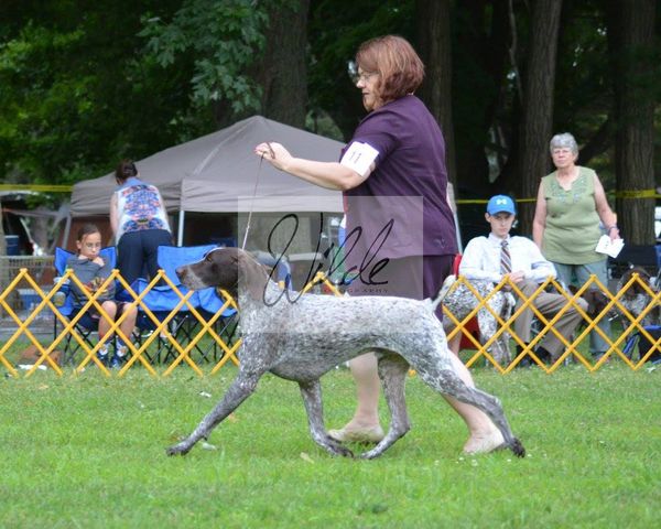 "Jake"
CH SilverLakes N Fisherheims True Grit
Owner Handler Gesele Dreslinski
Oweners Gesele & Bob Dreslinski