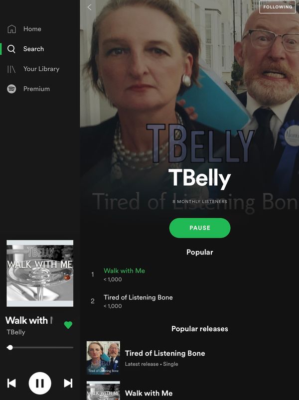 Follow and Stream TBelly on Spotify