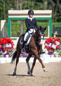 SOLD- 17 year old imported Hanoverian gelding. Diamond Hit x Brentano II. super fancy, sweet and safe FEI I1 schoolmaster.
Update: In his first show season with his new 11 year old rider, they went to Festival of Champions at FEI Children's level and got her second and third level Bronze medal scores! And qualified for Festival of Champions for 2022!