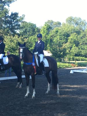 4 year old Isla Daula, UB40 x Krack C, at the New England Keuring achieving Keur Mare status and ranking in the top 5 in North America in the DG Bar Cup for 4 year olds. Bred and Owned by Jennifer Tousignant of Rhodes Farm.