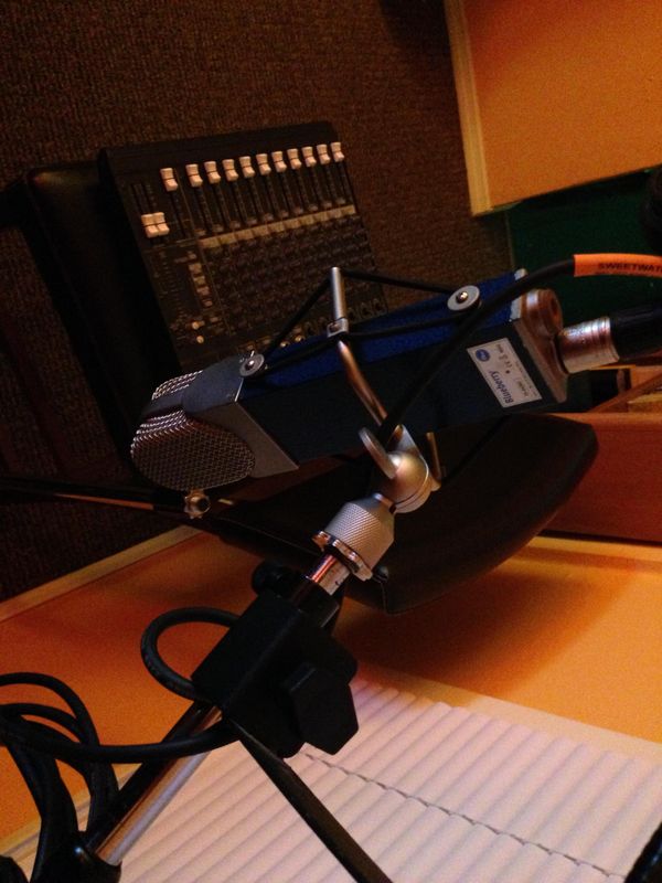 BLUE Blueberry Microphone. A detailed vocal mike with low proximity effect that makes vocals sit pretty in the mix.
