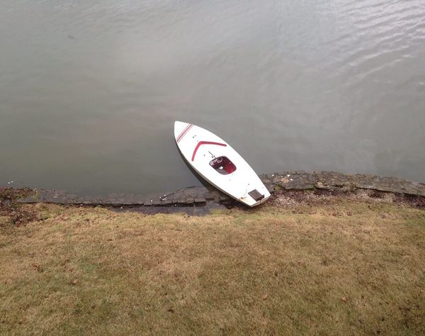Sample (this wayward Sunfish has found a home.)