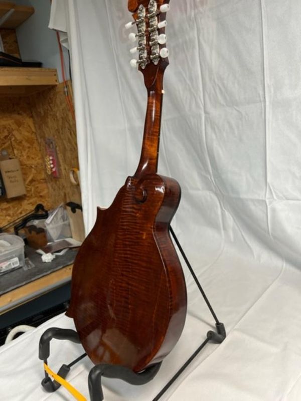 no- 62 back