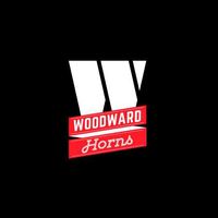 I play Tenor Sax and write arrangements for this funky 4-piece horn section. The Woodawrd Horns consists of Jimmy Smith (trumpet), Matt Martinez (trombone), Bobby Streng (Bari Sax) and myself. We have performed and recorded with many Detroit artists, such as Ben Sharkey, Bobby Murray's Tribute to Etta James, Melvin Davis, Tunde Olaniran, Nicole New, Sam Van Wagoner, Ron Otis, and The Rushmores. If you are looking to take your project to the next level, consider hiring The Woodward Horns!