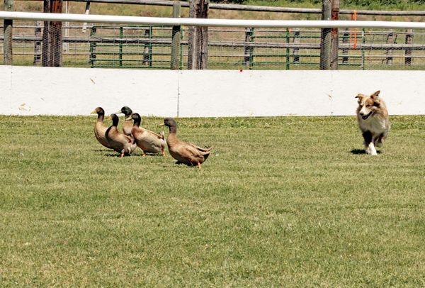 photo credit; Montana Magic Photography