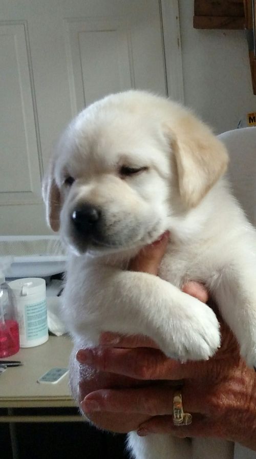 sleepy baby