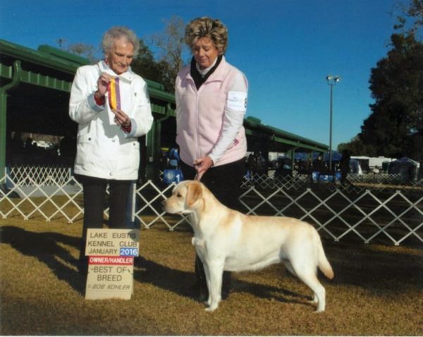 Journey Best of Breed Ocala