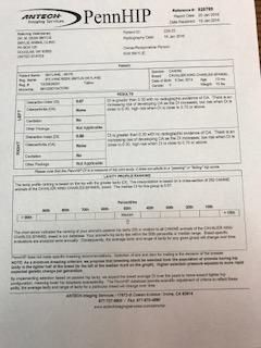 PennHip Certification