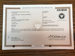 Hip Certification