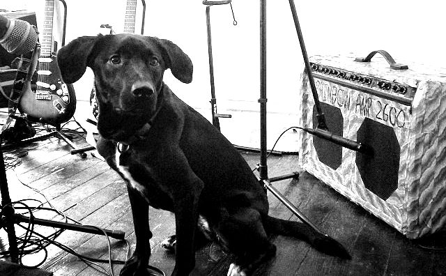 Recorded in an empty room. Roulette Waves had 2 guitars, bass, drums, and vocals. This was a fun all day recording for a full album. We even got this pup (pictured) barking on one of the songs, which is awesome because she is on the official album artwork.