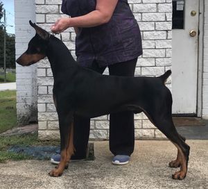 So proud of this boy!