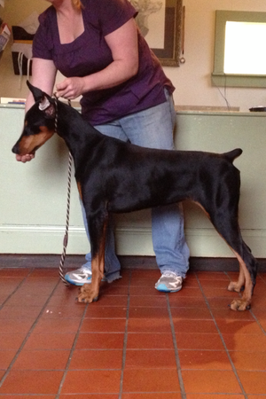 Brooke at 10 mos
