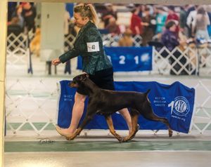 My girl's first showat just over 12 mos!