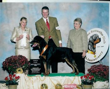 Phantom Wood Law & Order TD winning 4th place in AmBred Dog. Lawler is owned by Karla Niessing and handled by Drew Randall.