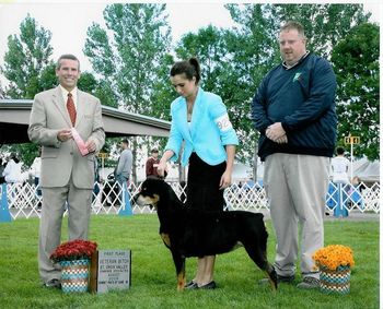 CH Phantom Wood Faith TDX RN winning 1st place in the Veteran Bitch class. Faith was handled by Jackie Steinmetz and owned by me.