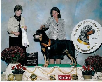 CH Phantom Wood Faith TDX RN winning Best in Veteran Sweeps from a very competitive Veteran Class. Faith is owned by me and handled by Holley Eldred.