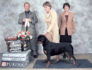 Phantom Wood Mystery Lady (Dinah) winning Best of Opposite Sex and her new Canadian Championship! Dinah is owned by Hedy Rankin and handled by Teresa Bradley for this win.