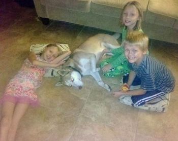 Bolt has found a forever home with Colleen and family in Brandon, FL. He gets kisses before the four children leave and when they come back to the house every day. He is as gentle as he can be with all of them.