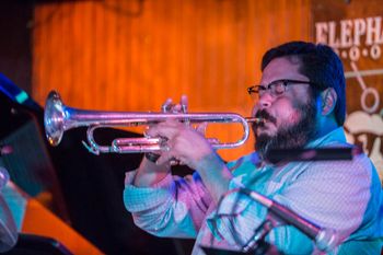 Performing with Captain Kirk and The Devil Horns at The Elephant Room (May 9, 2015) Photo courtesy: David Barrow