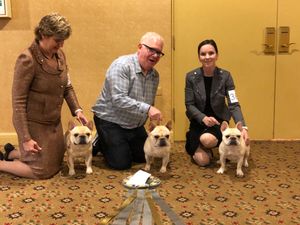 Stud dog class: Bug, Rio, & Mara 2018
