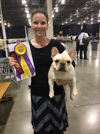 Best of Breed June 2016