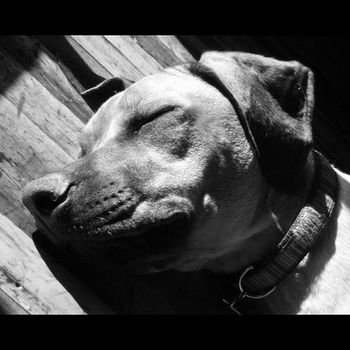 Zuhri Rummy X Charlie Loved by John Denver, CO