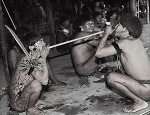 nomami of the Amazon Basin