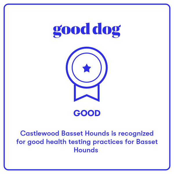 We have been vetted as a Good Breeder for health testing.