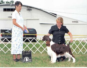 "Keeper" Briarton's Grand Finale (Ch. Briarton's What Women Want X Libby) Breeders: Cathy VanKempen & Mona Irvine Owners: Mark and Linda Molwyk