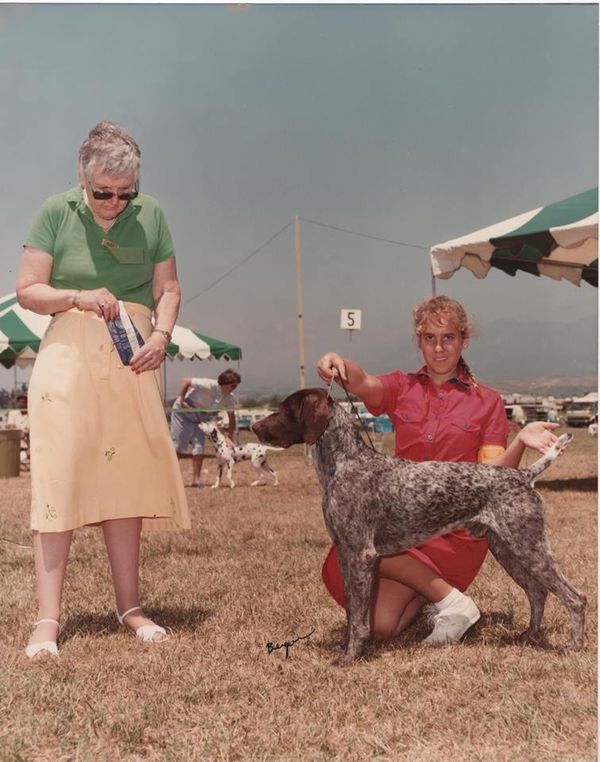 Champion Ezra purchased by Mildred Reville. Mom and I brought Ezra to the Beverly Dog show in 1983. His favorite thing to do was sit. Valeri finished him at 4 years old.