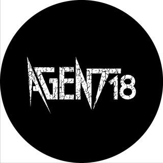 Agent 18 is an LA based Rock cover band, featuring both male and female lead songs from the era of classic Rock onwards to today. The bands’ members include musicians trained at the prestigious Musicians Institute College of Contemporary Music in Hollywood and professional touring and recording artists.