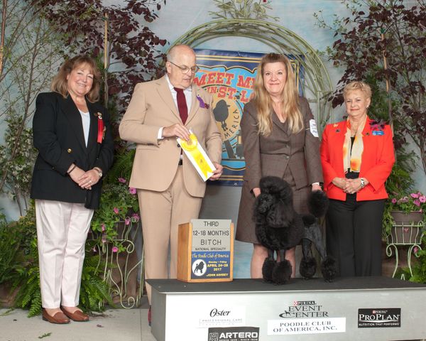 CH Whisper Ridge Fancy Dancer CGC-"Daisy"