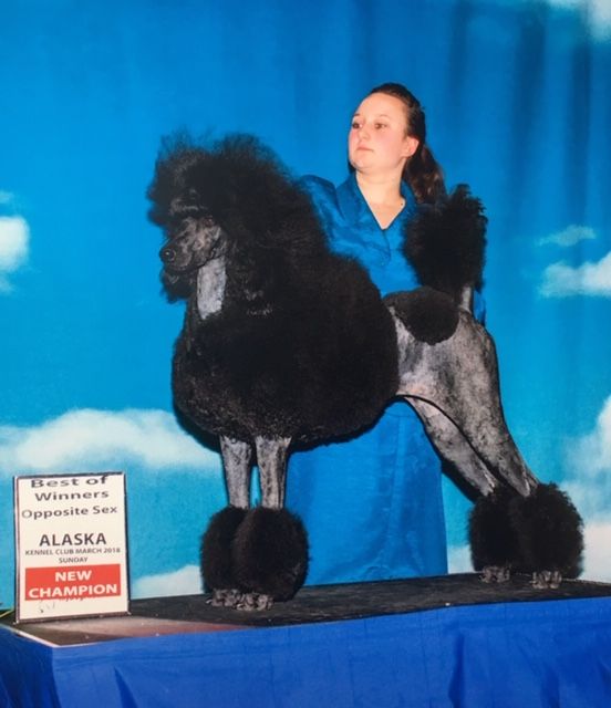 CH WHISPER RIDGE LADY MILLICENT RE, TKN, CGCA, FDC
Millie-Litter Dam