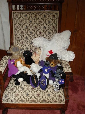 Some of the Stuffies that took such good care of Cari @ Shock Trauma celebrate their homecoming. "Yeah, Mom's home and so are we!!!"