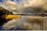 For information about the photograph "Boa Island" displayed in the background on these web pages please visit: www.photogalleryireland.ie the home of quality contemporary photography of Ireland, by brothers Aidan Monaghan & Sean Monaghan.