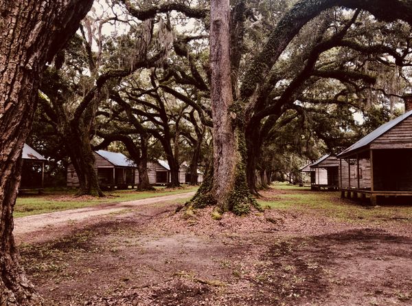 Slave Cabins, Evergreen Plantation