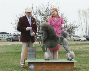 AKC/UKC Champion Bronco