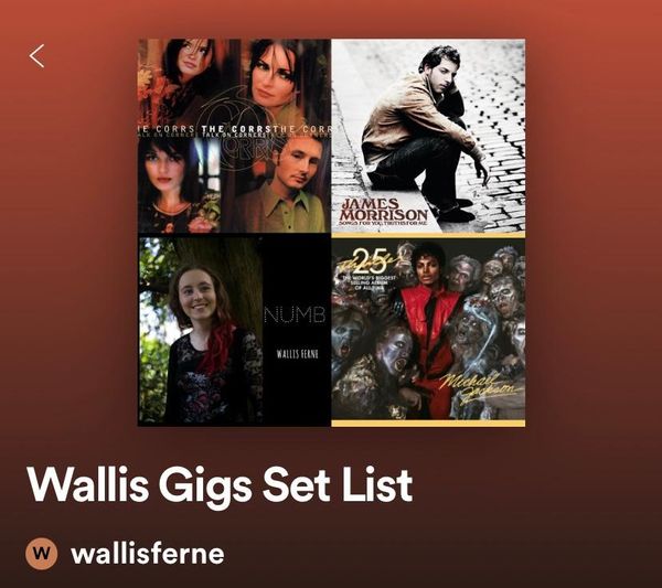 Spotify playlist of some of the covers and original songs I perform at gigs. Bear in mind I do my own interpretation of the covers at gigs. Have a listen, follow and share.