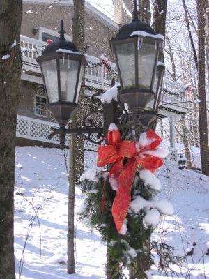Gerbe de Noël