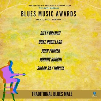 VOTE FOR ALL 3 TODAY! BLUES.ORG