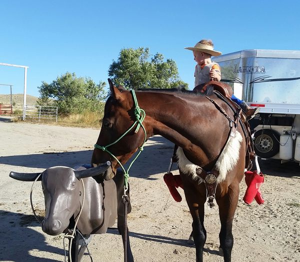 Training on the head horse.