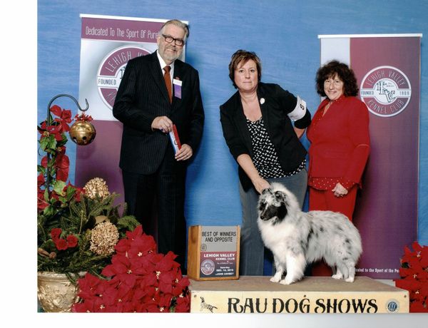We are thrilled to announce that "Halle", Coastalview Berrylicious was WB/BOS for her 1st point at only her 2nd show under respected Judge James Reynolds on 12/15/19! We look forward to her future.