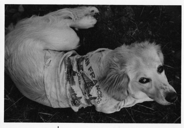 Infamous "touring dog" and fierce Tonaganoxie watchdog, "Prairie Dog"!