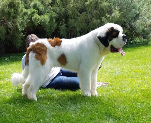 Buford 12 mos.