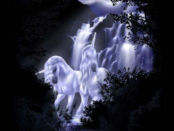 Magical Fantasy