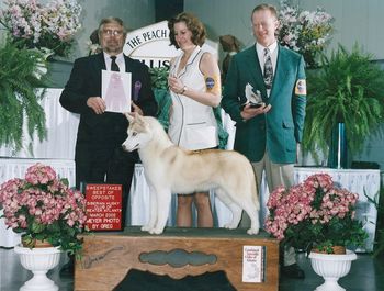 Spice wins Best of Opposite in Sweeps at the 2002 SHCGA Specialty under judge Don Young handled by Delinda
