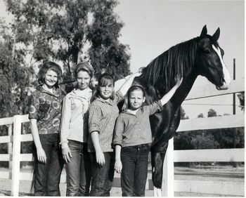 A motely group of horse girls at the end of a hot day helping with a photo shoot. Our reward, a picture! Ugh. L to R: Sheri Fisher Strand (long time friend), Candy, our cousin, Jody, Peggy, and the Saddlebred gelding, Star Raker. Ralph bought him for the National Velvet TV series. But the part went to another horse trainer/wrangler and good friend, Kenny Lee. Emerson Hall photo.