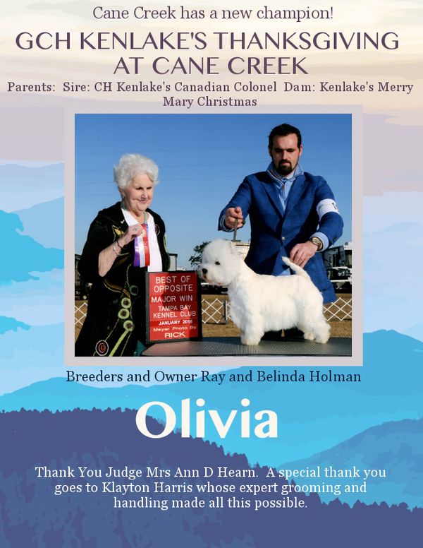 GCh Ch Kenlake's Thanksgiving at Cane Creek