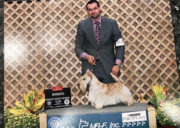 Cane Creek’s newest Champion
CH Colonsay’s Golden Girl