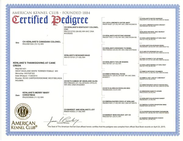 Olivias Pedigree